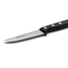 Hámozókés, zöldségeskés, 10 cm-es penge, Arcos Universal 