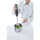 Botmixer, 6 sebességes, merülőszár 20 cm, 250 W, 