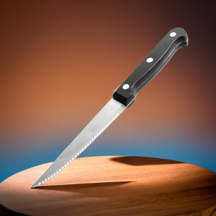 Steak kés műanyag nyéllel, 11 cm penge