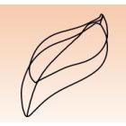 Bonbon csokoládéforma (MA1005), 16 adag, polikarbonát