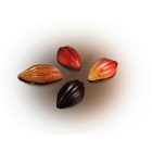 Bonbon csokoládéforma (MA1018), 21 adag, polikarbonát