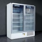 Két üvegajtós hűtővitrin több színben, bruttó 1200 literes